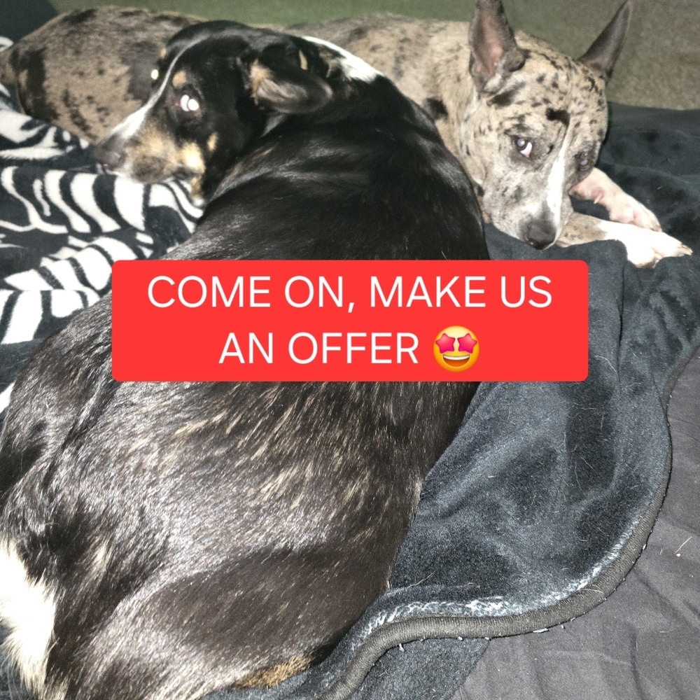 We are waiting on you to make the first move. Offers Welcomed...